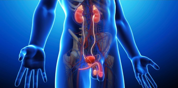 lcm-urologia-oncologica